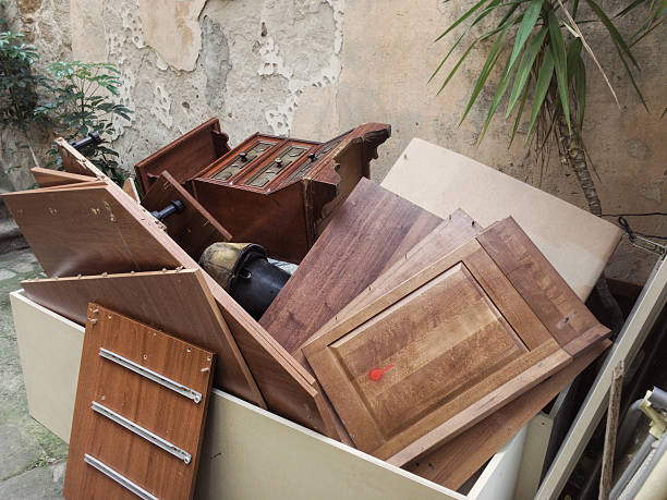 Best Recycling Services for Junk  in Coalfield, TN